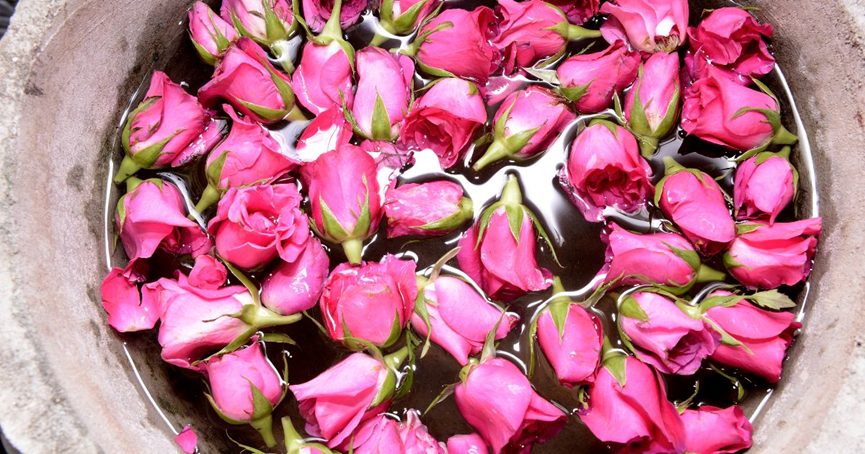 土耳其必買保養品