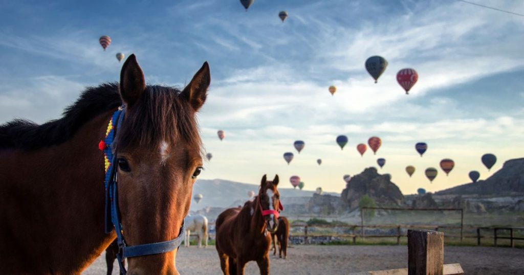 土耳其旅遊亮點