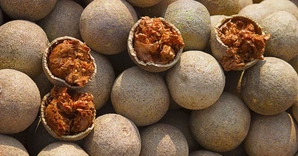 圖片展示了整顆和切開的貝爾果,切開部分顯示出內部橙色纖維狀果肉。果實外殼粗糙,呈棕色。