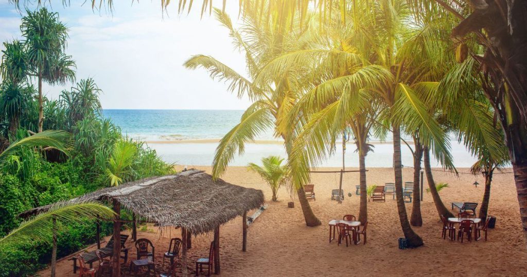 圖片展示了斯里蘭卡班托塔海灘上的陽光海景。椰林與遮蔭涼亭間散佈著椅子，營造出悠閒的氛圍。這個海灘咖啡廳是享受熱帶假期的理想地點，面對著波光粼粼的海面。