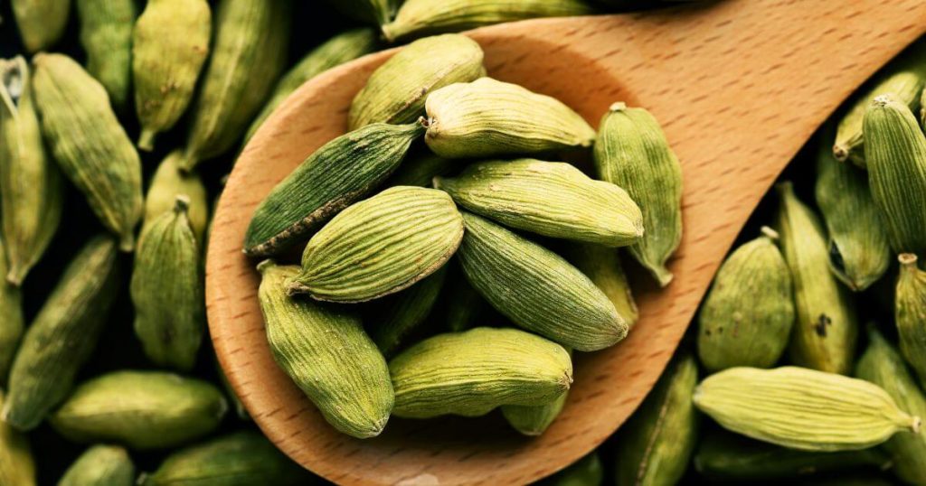 這張圖片展示了一匙綠豆蔻種子，堆放在其他綠豆蔻的背景上，綠色的豆蔻莢形飽滿，象徵其芳香的辛香料特性。