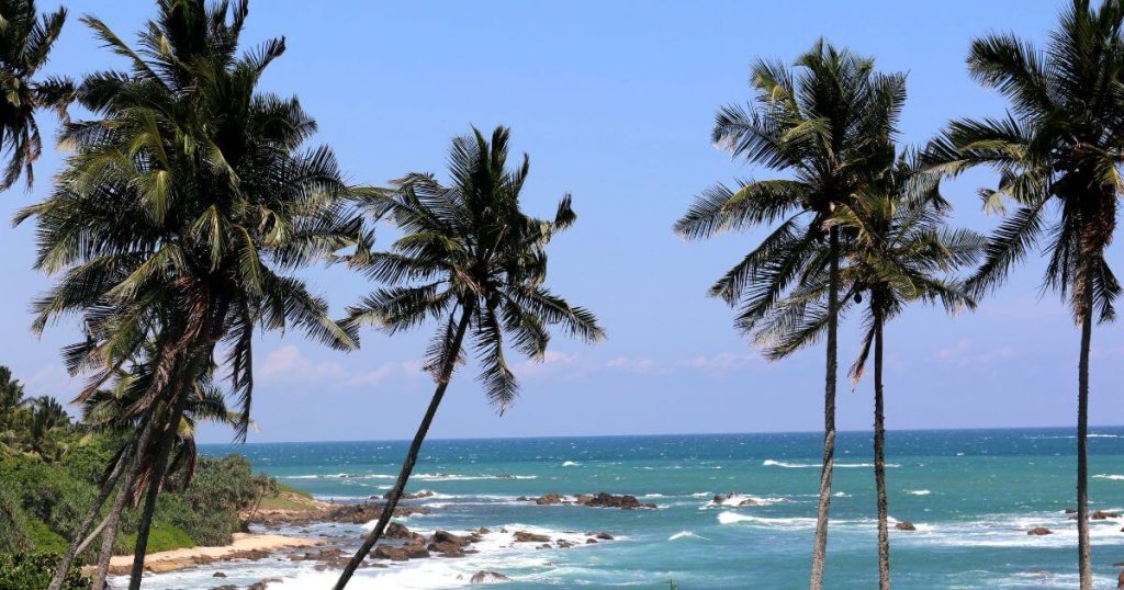 圖片展示了斯里蘭卡的海岸線，椰樹高聳，背景是一望無際的藍色大海，海浪拍打著岸邊。這是一幅典型的熱帶風情畫面，充滿陽光與大自然的魅力。