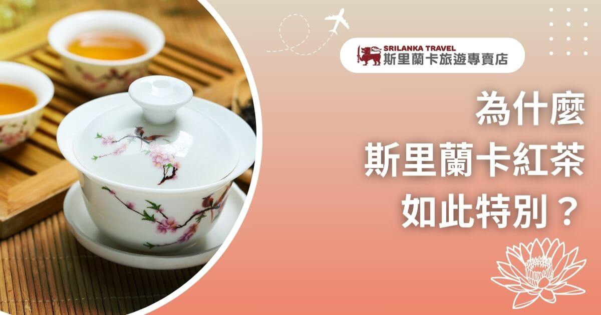 畫面中呈現了一個帶有花鳥圖案的瓷杯，伴隨著典雅的茶道器具，帶來品茶的清雅氛圍。文字標題解釋了斯里蘭卡紅茶的獨特之處，吸引讀者深入了解這種茶葉的特質。