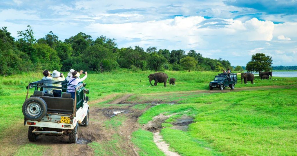 圖片展示了一群遊客乘坐吉普車進行國家公園探險,在草原上觀察大象,捕捉壯觀的自然風光。