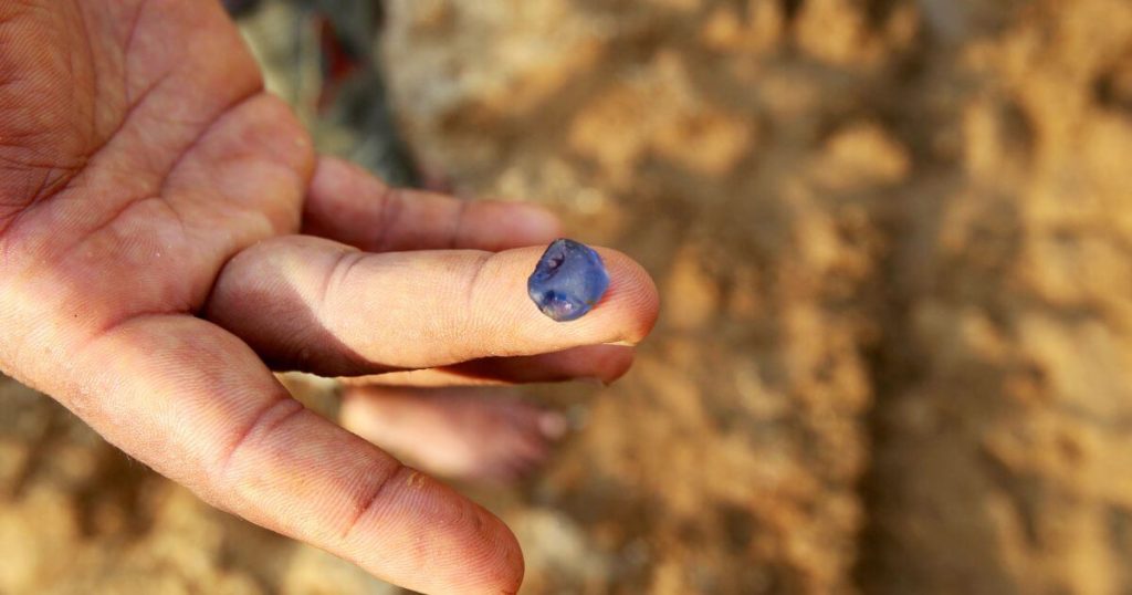 一名礦工展示斯里蘭卡藍寶石，強調該國的寶石開採業與世界著名的藍寶石產地。