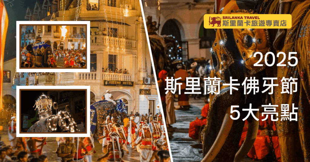 這張圖片展示了斯里蘭卡科倫坡佛牙節（Esala Perahera）的一些精彩瞬間。圖片中的場景包括壯麗的遊行隊伍、華麗的象徵性動物裝飾及燈光照耀下的神聖氛圍，這些都突顯了斯里蘭卡傳統節日的熱鬧與神聖。特別是節日期間，成千上萬的舞者、騎象者及民眾一起參與，讓人感受到該國深厚的宗教文化與歷史背景。