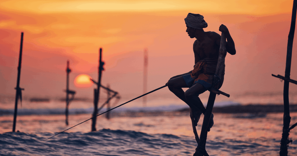 這張圖片展示了斯里蘭卡傳統的立竿釣魚活動,畫面中的漁夫站在一根竹竿上,隨著夕陽背景,創造出一種獨特的景象。立竿釣魚是斯里蘭卡的文化象徵之一,這項技術源自漁民為了避開海浪,發展出的一種特殊釣魚方式,這張圖片突顯了當地獨特的生活方式和自然景觀,帶給觀者一種安靜且古老的美感。