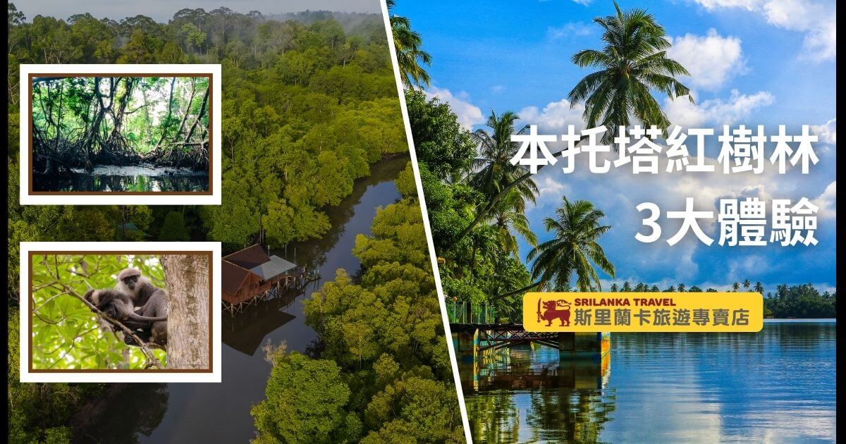 此圖片展示了斯里蘭卡本托塔紅樹林的壯麗景色，右側為綠色茂密的紅樹林與平靜的河流，左側小圖顯示了紅樹林中的生態，包括蜥蜴和猴子。畫面表達了該地區豐富的自然生態環境，並強調了本托塔紅樹林的獨特旅遊體驗，吸引自然愛好者和生態旅遊者的關注。