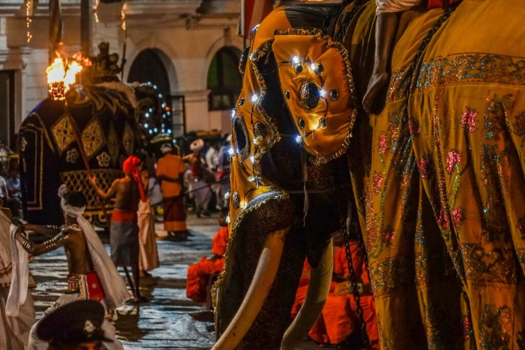 這張圖片特寫展示了佛牙節的遊行，其中一隻盛裝的大象被精心裝飾，身上綴滿燈光和華麗布料，並且由舞者和傳統的侍從護衛著，強調了佛牙節的宗教意義和文化價值。