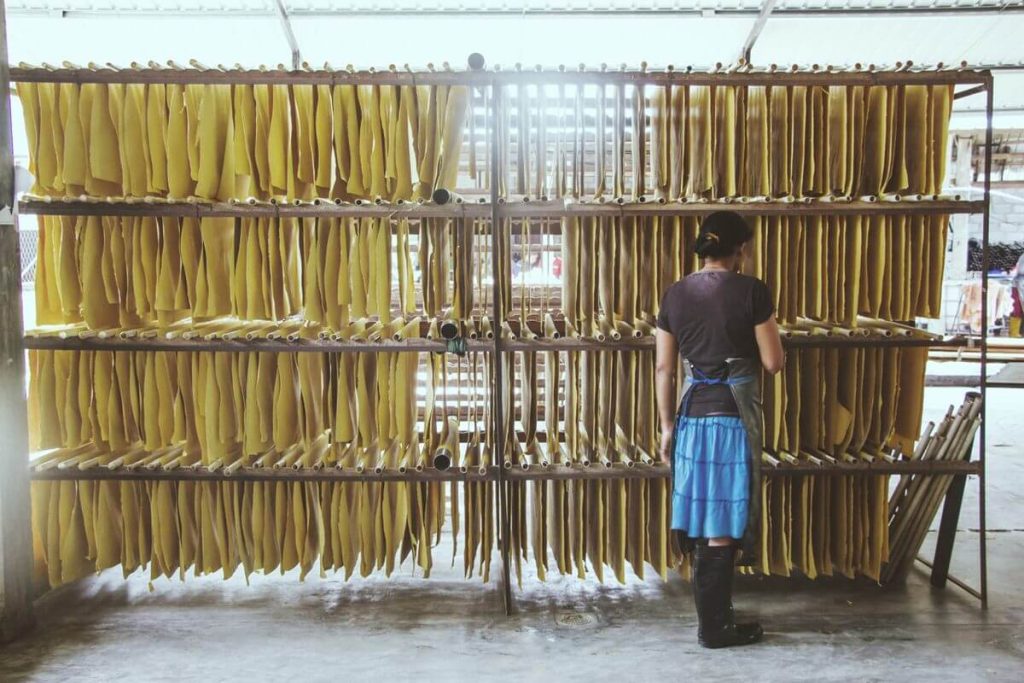 一名工人在整理著晾掛於架子上的大象糞紙,這些大象糞紙正在進行乾燥過程。