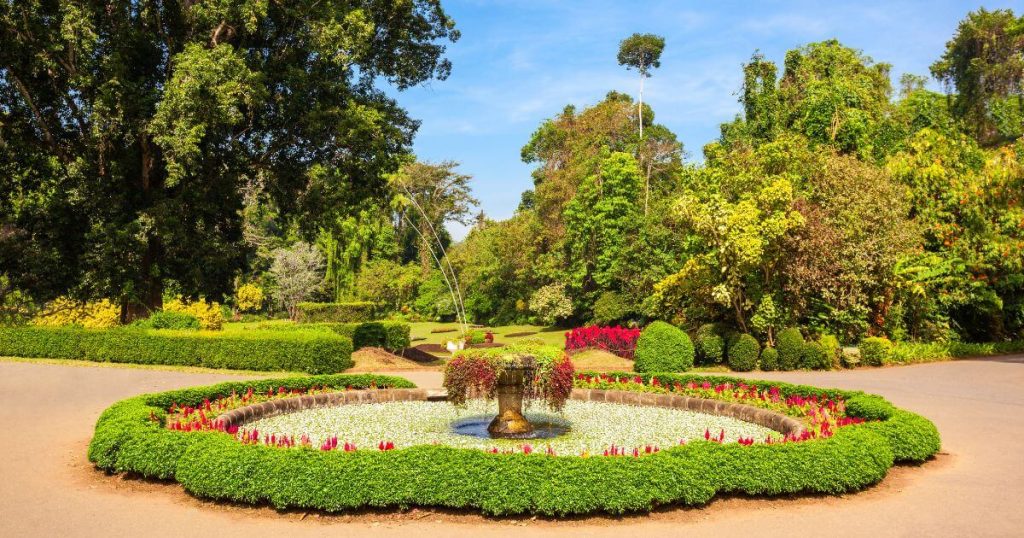 佩拉德尼亞皇家植物園是康提附近著名的植物園,擁有豐富的熱帶植物,園內的花壇設計精美,是遊客放鬆的好去處。
