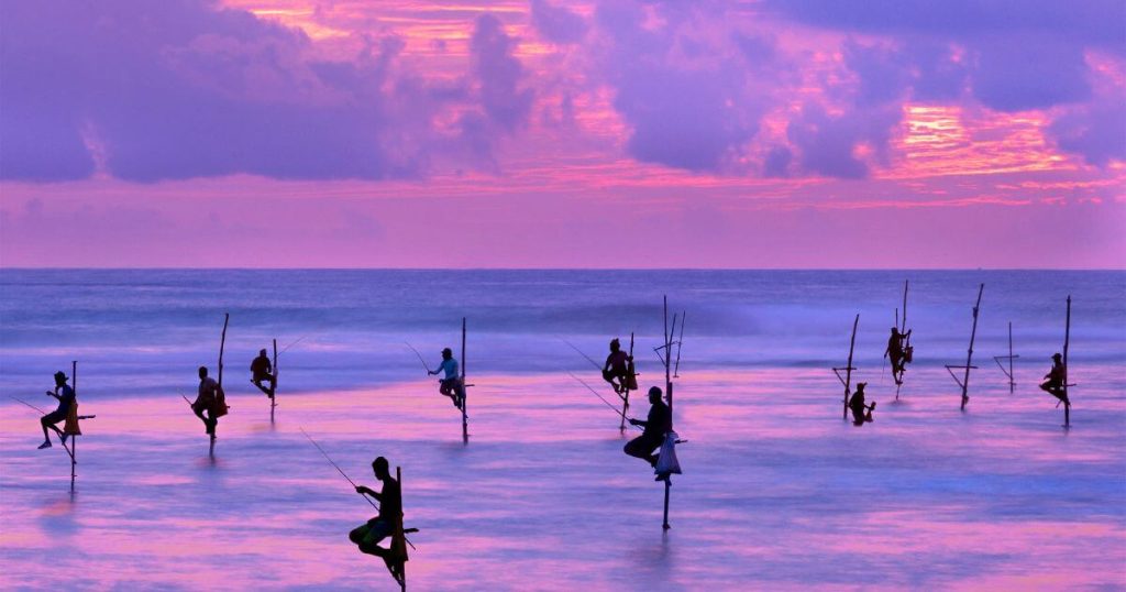 傍晚的斯里蘭卡海邊,高跷漁夫在海中撐杆垂釣,背景是美麗的晚霞,展現了斯里蘭卡獨特的傳統捕魚方式。