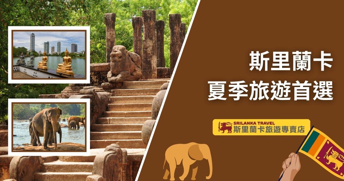 這張圖片展示了斯里蘭卡的經典夏季旅遊景點，左上角為科倫坡的佛像與城市景觀，底部則是大象群在河水中行走，右側為古老石階。
