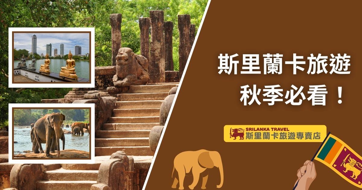 圖片展示了斯里蘭卡旅遊景點的古老石階與佛像，適合秋季旅遊推薦。