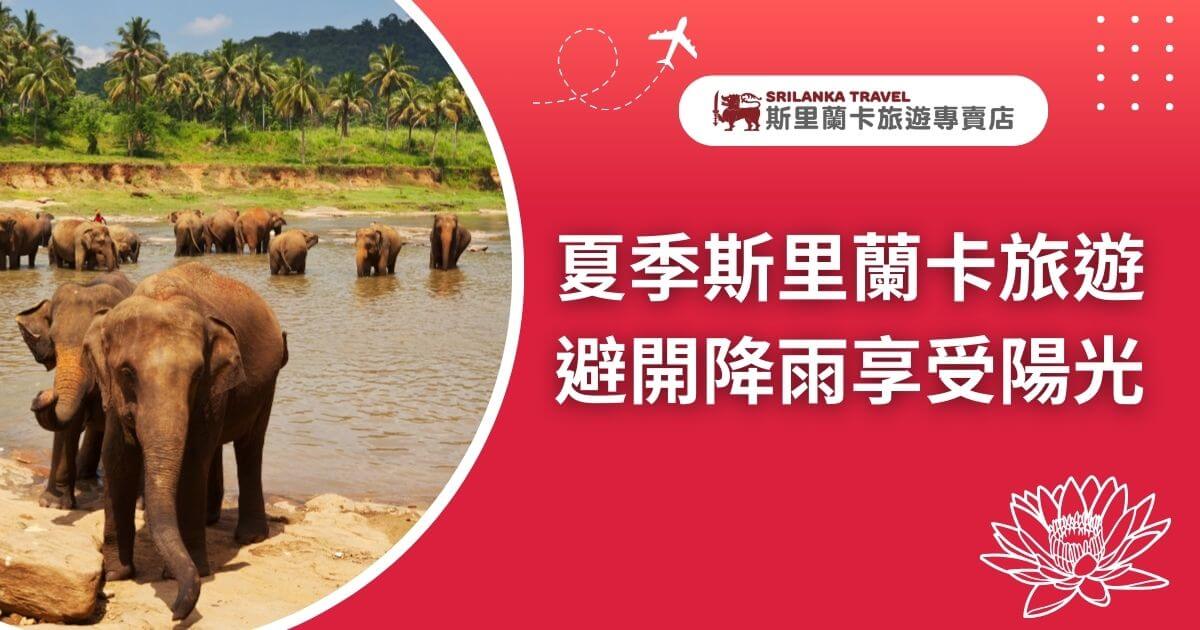 一群大象在斯里蘭卡的河邊，背景是椰子樹和晴朗的天空，強調夏季旅行的愉快體驗。