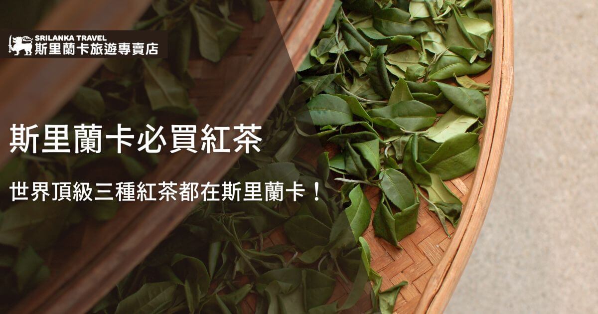 一張展示斯里蘭卡新鮮採摘的茶葉正在竹簍中晾曬的圖片，標題說明斯里蘭卡是購買世界頂級紅茶的必選之地。
