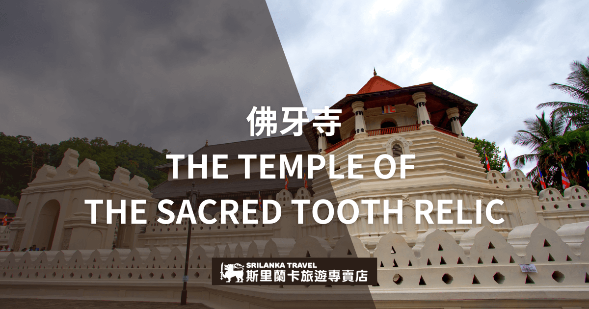 圖片展示了斯里蘭卡康提市著名的佛牙寺建築，其鮮明的白色外牆和紅色屋頂與周圍的綠色環境形成強烈對比。佛牙寺是佛教徒心中的重要聖地，保存著佛陀的牙舍利，是朝聖和文化旅遊的熱門地點。