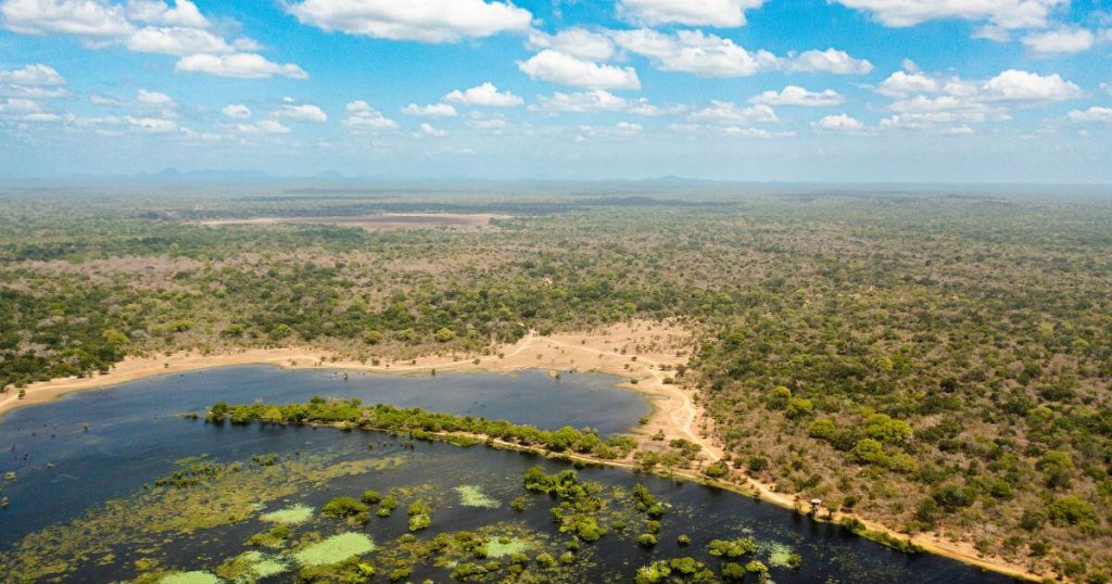 該圖片展示了庫馬納國家公園的壯麗景觀,從高空俯瞰可以看到廣闊的森林和湖泊。晴朗的天氣使湖泊中的綠色植物清晰可見,呈現出自然的美麗與寧靜,是生態旅遊的理想地點。