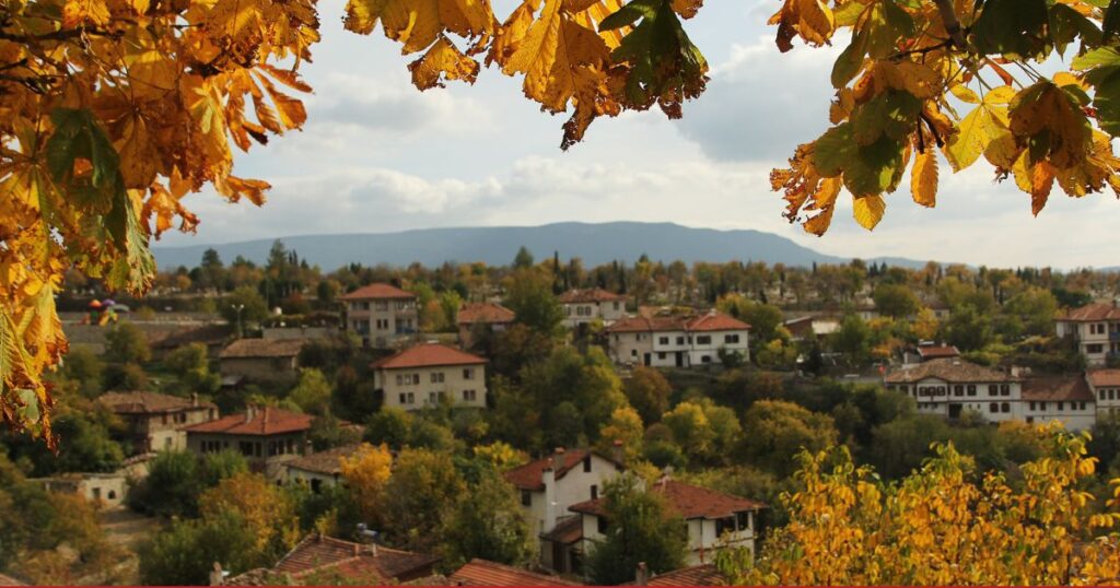 惜林階Sirince 是土耳其塞爾柱省東邊郊外9公里的小山城，在土耳其語意為迷人有魅力、令人喜愛的，又有小番紅花城之稱。