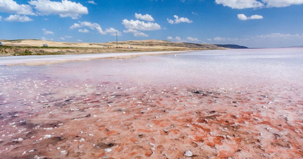 圖茲湖（土耳其語：Tuz Gölü）是土耳其的湖泊，位於中部安那托利亞地區，距離科尼亞105公里。是土耳其第二大鹽湖，Tuz Gölü的意思就是鹽湖，土耳其40%的鹽都是從這邊生產。圖茲湖景點有名之處在水中的藻類讓湖水呈現粉紅色，景色非常奇特。