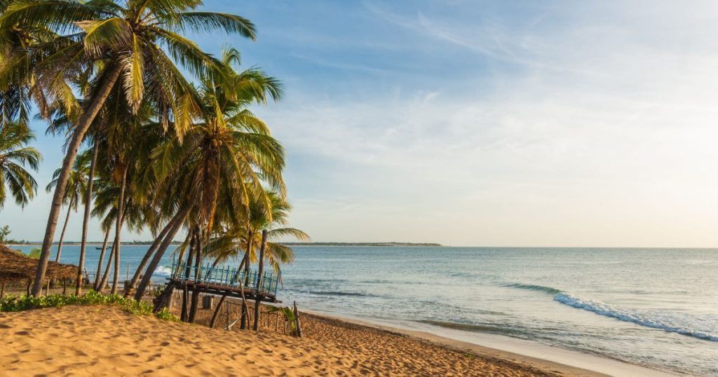 該圖片展示了斯里蘭卡阿魯甘灣(Arugam Bay)的棕櫚樹和金色沙灘,海面波光粼粼,陽光普照,呈現了熱帶島嶼的悠閒與美麗。