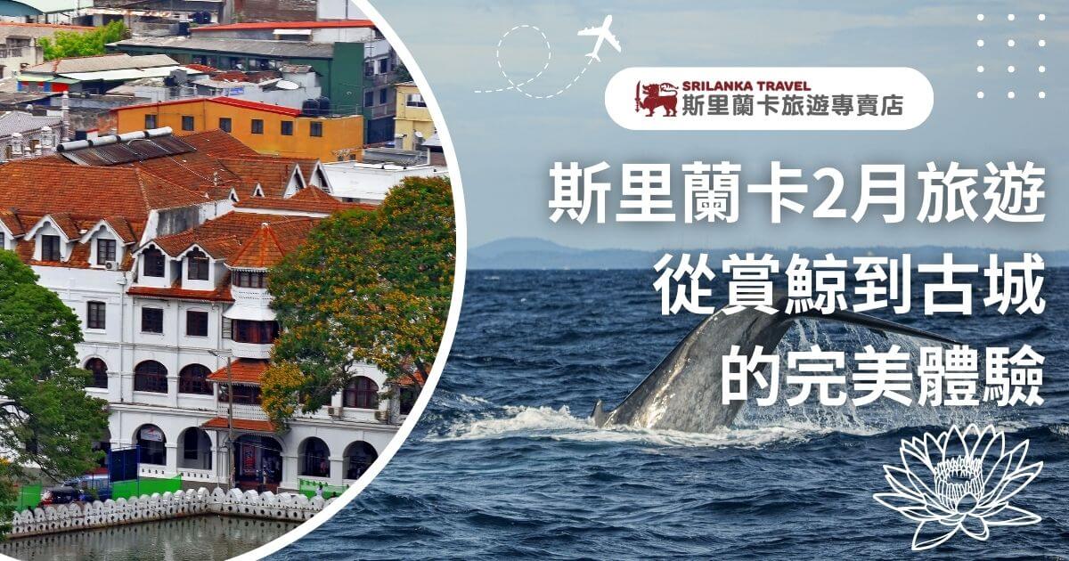 圖片中左側展示了斯里蘭卡的古城建築，右側則是湛藍的大海與賞鯨畫面，呈現出斯里蘭卡2月的旅遊亮點，吸引遊客體驗從古城文化到海洋生物的豐富行程。