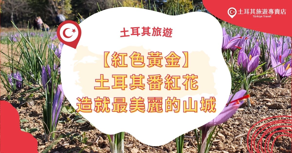 土耳其番紅花城被譽為「最美麗的山城」，以鄂圖曼建築與漫山遍野的番紅花而聞名。漫步古老街道，欣賞紅白相間的建築與自然景觀交織的美麗。這裡是文化愛好者和攝影師的天堂，隱藏著許多故事，吸引著遊客前來探訪。