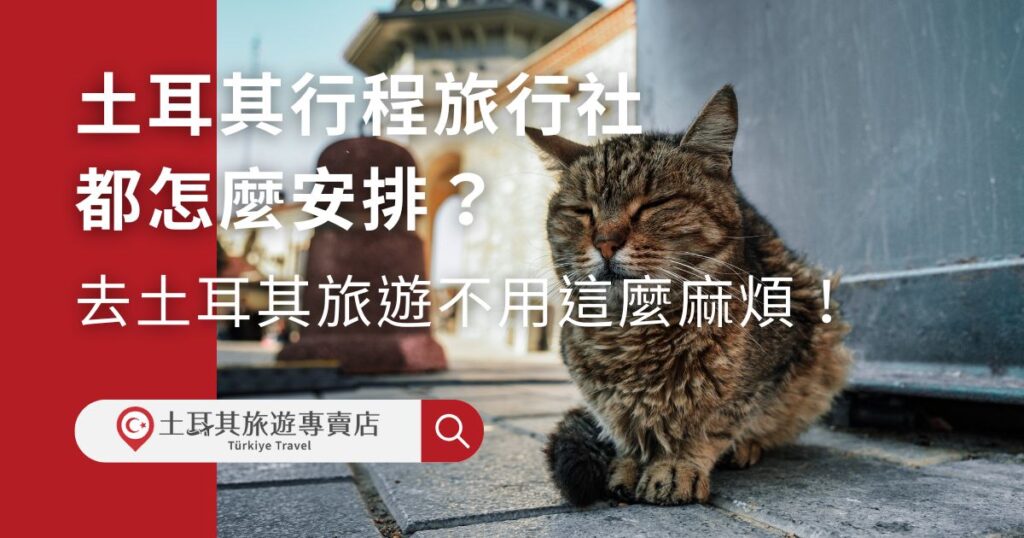 如何挑選合適的行程、避免過度緊湊的安排，規劃土耳其行程旅行社會是很好的參考範例。