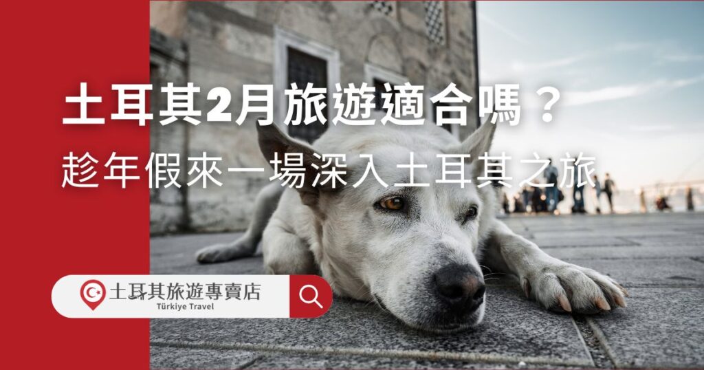 土耳其2月旅遊一點都不會無趣,冬季旅遊不僅正逢淡季,體驗舒適,更有許多平常體驗不到的行程和活動。看完土耳其旅遊專賣店的介紹,就知道年假要去哪裡了。