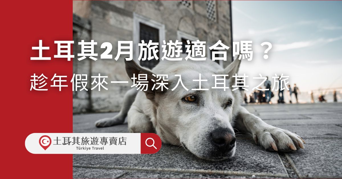 土耳其2月旅遊一點都不會無趣，冬季旅遊不僅正逢淡季，體驗舒適，更有許多平常體驗不到的行程和活動。看完土耳其旅遊專賣店的介紹，就知道年假要去哪裡了。