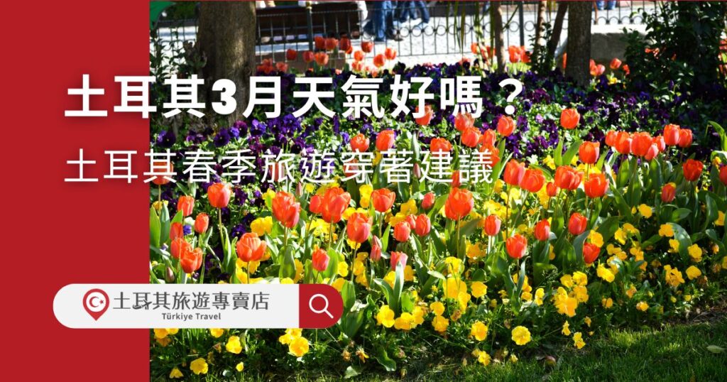 土耳其3月天氣偏涼，旅遊起來十分舒適，尤其是正當春季，許多地方開滿花卉，美不勝收。如果不確定要帶那些衣服，土耳其旅遊專賣店可以提供很多建議。