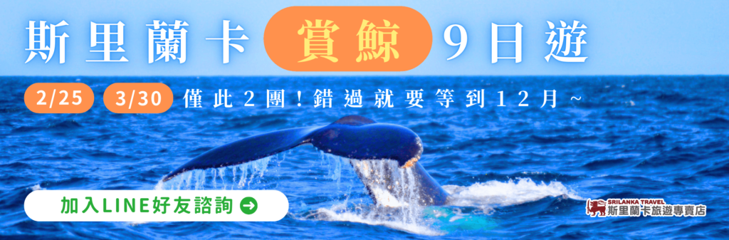 一隻鯨魚尾巴露出水面,背景為廣闊的藍色海洋和夕陽,標示「斯里蘭卡賞鯨9日遊」。提供2月25日與3月30日兩個出團時間,並提示加入LINE好友進行諮詢。