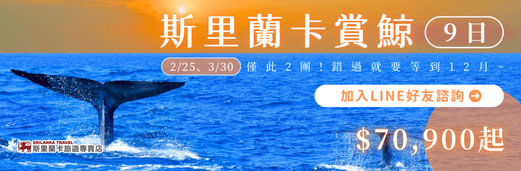 展示鯨魚尾巴在海面上的動態圖像,配合標語「斯里蘭卡賞鯨9日遊」,同時標示「僅此2團」,並強調行程若錯過需等到12月。