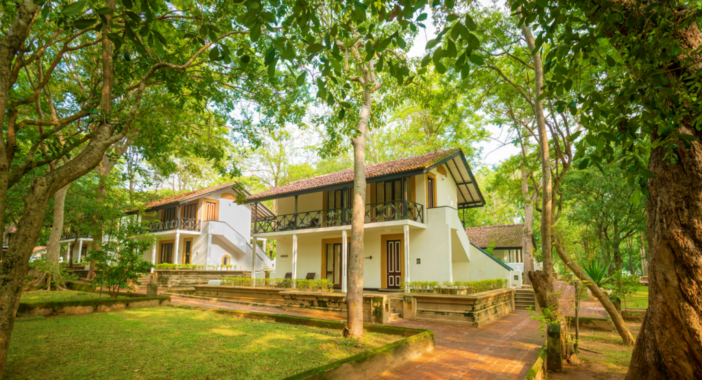 Cinnamon lodge 1425x772