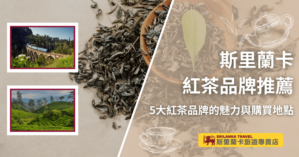 這張首圖以茶葉為背景主視覺，搭配斯里蘭卡著名的九拱橋火車與茶園景致，呈現斯里蘭卡紅茶的產地風情。右側以茶壺與茶杯插畫增添氛圍，標題標示「斯里蘭卡紅茶品牌推薦」，強調介紹5大品牌與購買地點。