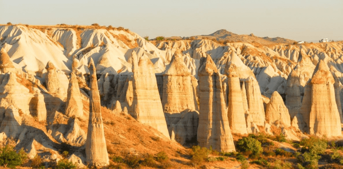 截圖 2025 12 05 下午1.03.02